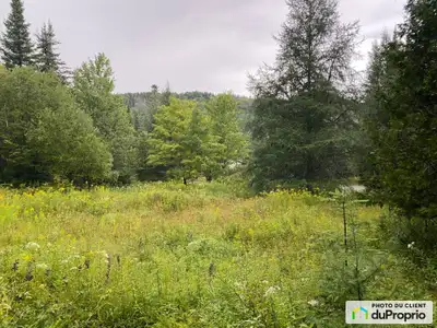 Grand terrain de presque 5 âcres à flanc de montagne. -À 25 minutes du Mont Tremblant et 1h20 de Mon...