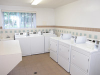 SPACIOUS 1 BEDROOM APARTMENT FOR RENT IN SARNIA! Realstar's High Park Apartments in Sarnia is a low-... (image 4)