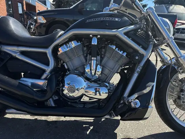 2009 Harley-Davidson V-Rod ~ V-ROD ~ 1250CC ~ CANADIAN ~ LOW KMS in Street, Cruisers & Choppers in City of Toronto - Image 11