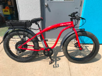 CALIFORNIA EXTREME - 1000W ELECTRIC FAT TIRE BIKE