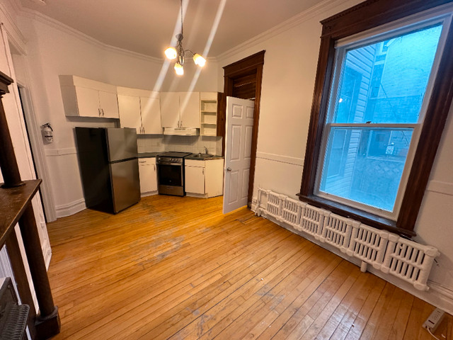 Nice bachelor unit- Downtown location- Available Immediately! in Long Term Rentals in Ottawa