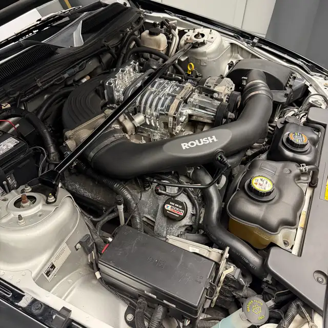 2009 Ford Mustang6050330685793996829