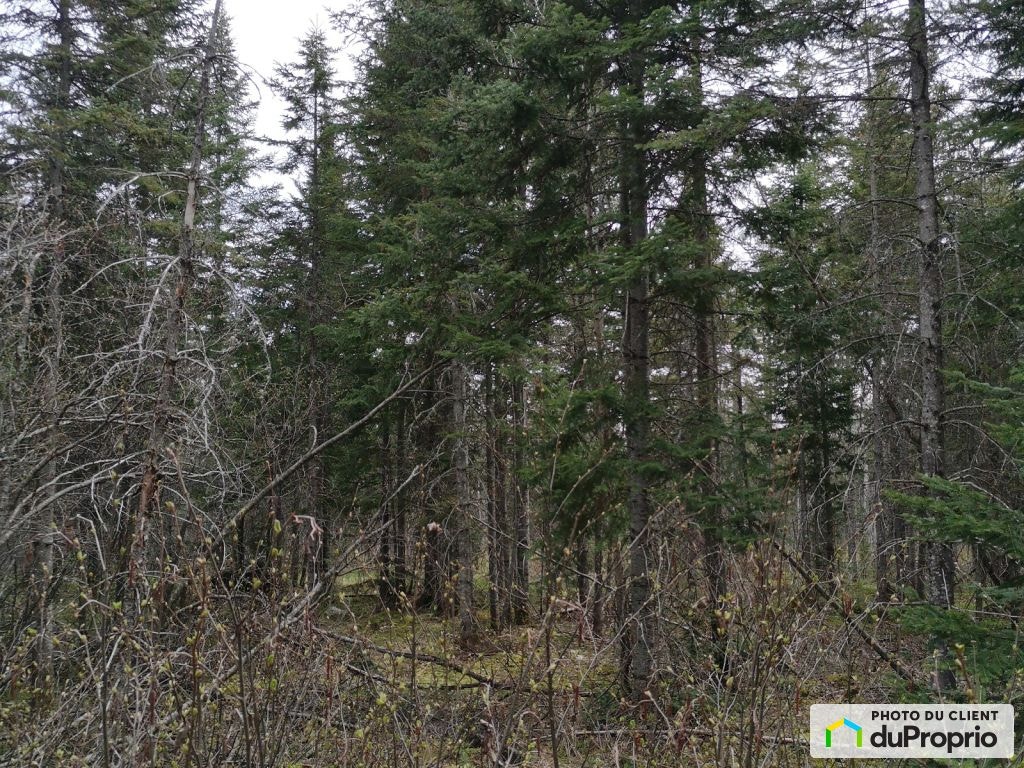 $64,000 - Residential Lot for sale in Ste-Lucie-De-Beauregard — photo 2