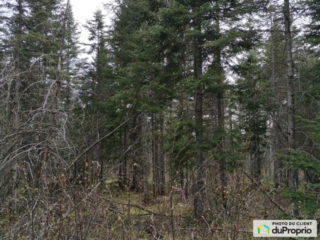 $64,000 - Residential Lot for sale in Ste-Lucie-De-Beauregard — photo 2