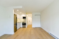 Renovated Akelius studio apartment for rent. Located near Fabre in the Plateau Mont-Royal neighborho... (image 4)