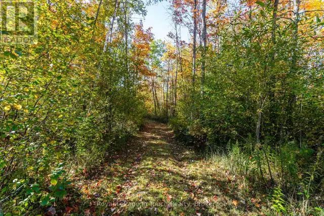 250 PEEK -A- BOO TRAIL Tiny, Ontario in Land for Sale in Barrie - Image 7