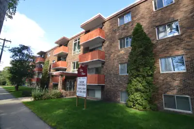 Dax Manor will have a newly renovated 2 bedroom unit available along a quiet tree lined street. New...