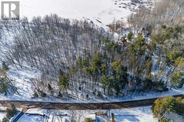 50 SULLIVAN POINT ROAD Laurentian Valley, Ontario in Land for Sale in Pembroke - Image 3