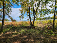 At last you can have it all! Waterfront & Acreage!