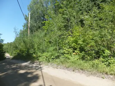 Seller will Finance, with only $4,900 downpayment! Great Opportunity to Own approx. 7.5 Acres of Pri...