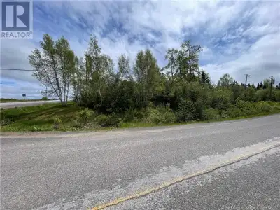Build your ideal getaway or year-round home on this peaceful 0.35-acre lot nestled along Route 865 i...