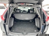 Leather Seats, Heated Seats & Steering, Back-Up Camera, Sunroof, Bluetooth Connection, Lane Departur... (image 7)