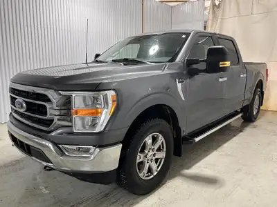 Ford F-150 XLT XTR SuperCrew 4x4 3.5 Ecoboost Marche Pieds + Hitch + Brake Control + Miroirs de remo...