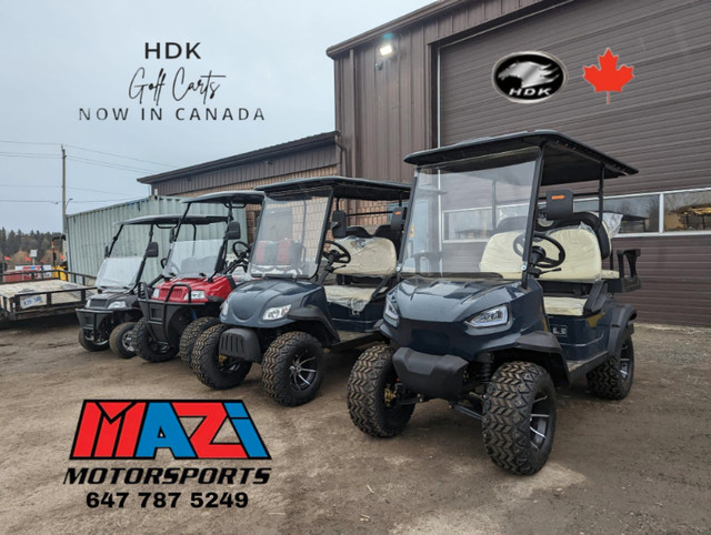 2023 golf cart HDK - electric GO-KART / 4 SEATS GOLF CART NEW in Other in St. Catharines - Image 4
