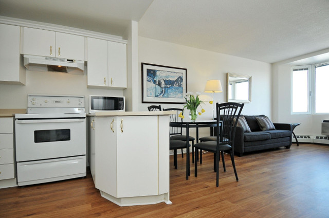 Furnished Studio apartment  - $1750  AVAILABLE June 1st #1312 in Long Term Rentals in Ottawa - Image 4