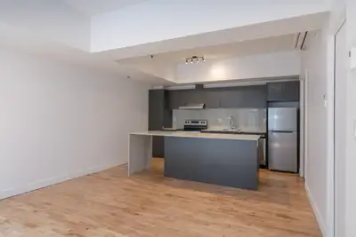 One-bedroom apartment in Plateau - ID 2171
