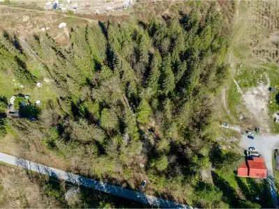This stunning 10.5-acre flat and usable parcel offers endless potential in a serene, nature-rich set...