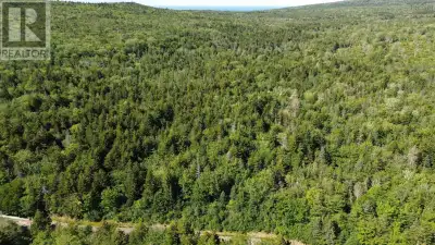 Over 17 acres of beautiful hardwood and softwood forest! Comprised of two PIDs (8.6 and 8.9 acres),...