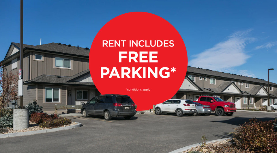 Pet-Friendly Three Bedroom 1.5 Bath with In-suite Laundry for Re in Long Term Rentals in Edmonton