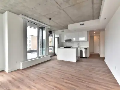 Condo rental-apartment for rent-logement locatif 2 chambres/bedrooms, 2cc 4.5-4 1/2-Quartier des spe...