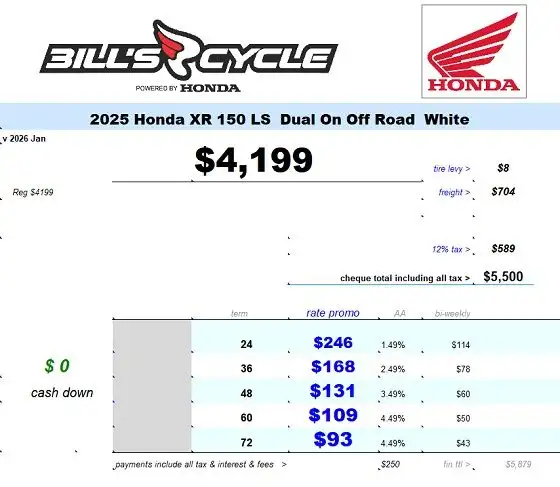 2025 HONDA XR 150 LS Dual Sport White in Street, Cruisers & Choppers in Winnipeg - Image 4