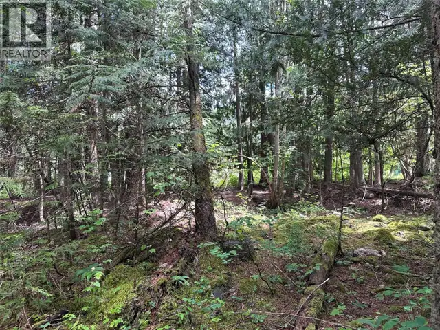 611 Slocan Street Slocan, British Columbia in Land for Sale in Nelson - Image 14