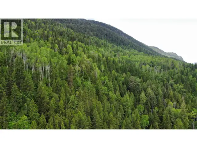 Arrow Lake 10 Lot Package Arrow Lakes Drive Castlegar, British C in Land for Sale in Nelson - Image 6