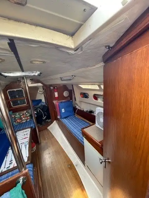 1981 EDEL 820 in Sailboats in Norfolk County - Image 10