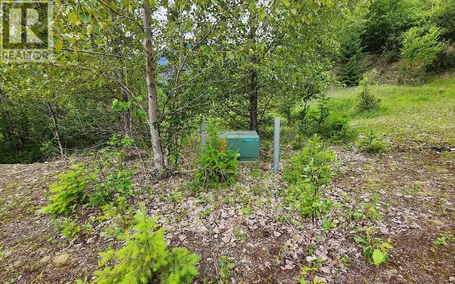 5360 6 Highway Rosebery, British Columbia in Land for Sale in Nelson - Image 17