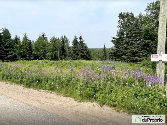 $79,999 - Residential Lot for sale in Les Eboulements — photo 2