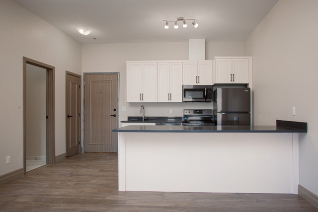 Limited Offer: Expansive 1-Bedroom in West End Kingston $1830 in Long Term Rentals in Kingston