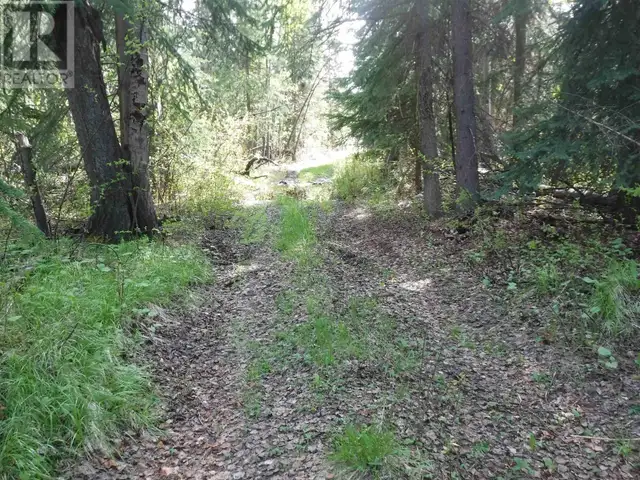 CHILCOTIN HIGHWAY Chilcotin, British Columbia in Land for Sale in Burns Lake - Image 11