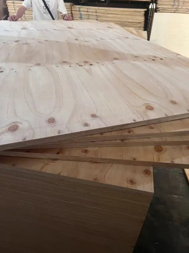 Pine and Oak Plywood Sheets – 4x8 FT Construction Grade in Floors & Walls in Brandon - Image 3
