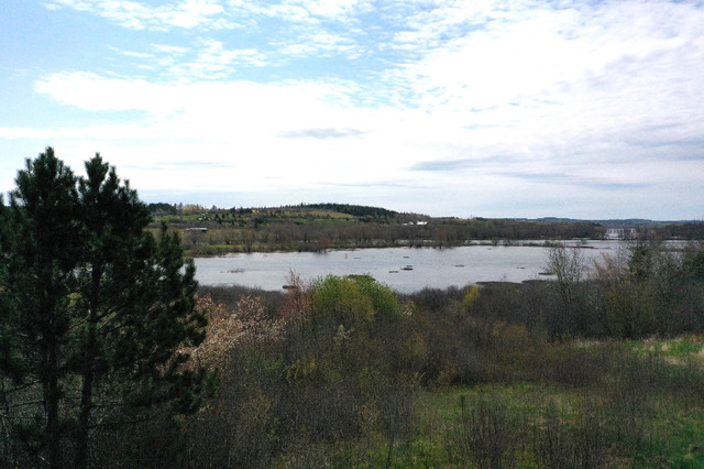 8 Acre Waterview lot on outskirts of Hampton NB in Land for Sale in Saint John - Image 2