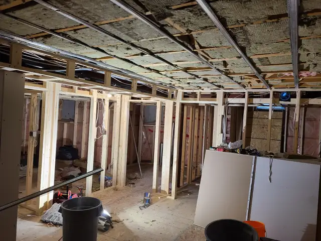 PROFESSIONAL PAINTER/RENOVATION BRAMPTON 6478347594 in Renovations, General Contracting & Handyman in Mississauga / Peel Region - Image 10