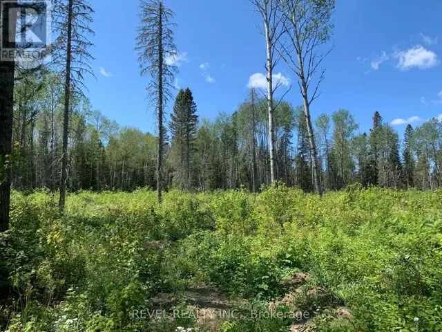 PCL8547 HWY 101 HIGHWAY W Timmins (TCTDAR Outside), Ontario in Land for Sale in Timmins - Image 29