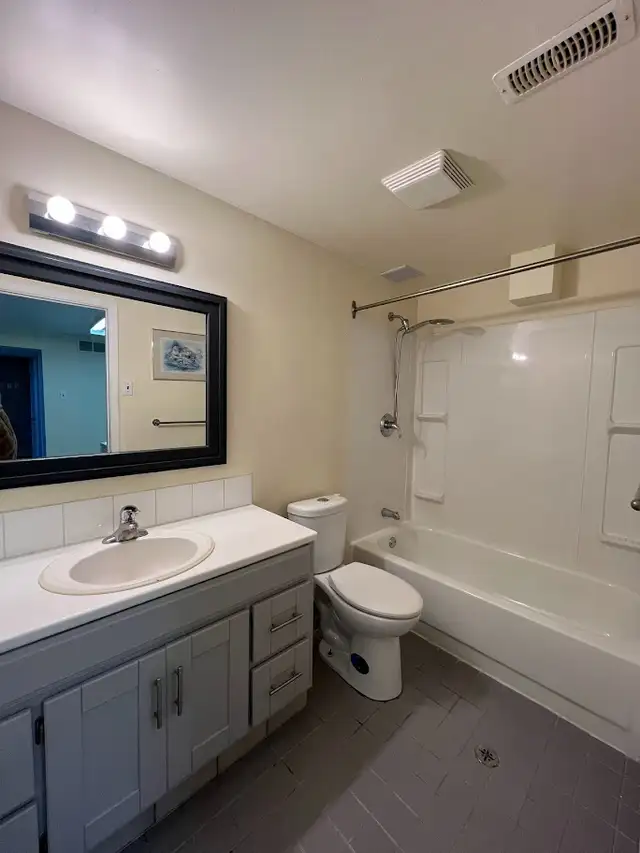 1 bedroom walkout basement for rent in Bradford in Long Term Rentals in Markham / York Region - Image 8