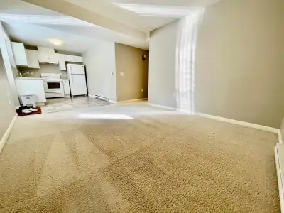 Beautiful Great Room, 1-bedroom, 1-bathroom basement suite offers 800 sq ft of comfortable living sp...