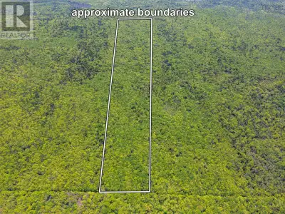 Approximately 52.62 acres of mixed woodland with frontage on the Old Broad Cove Road. A great site f...