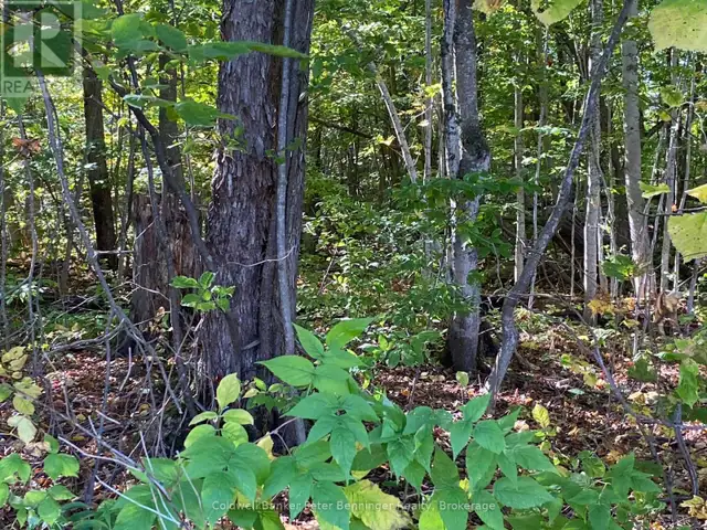 1315 CONCESSION 8 CONCESSION Kincardine, Ontario in Land for Sale in Owen Sound - Image 20