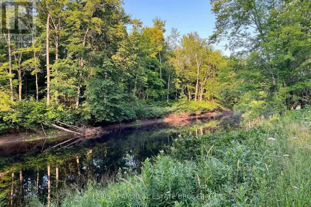 PART LOT 28 CONCESSION 12 BLACK RIVER ROAD Kawartha Lakes (Dalto in Land for Sale in Barrie - Image 16