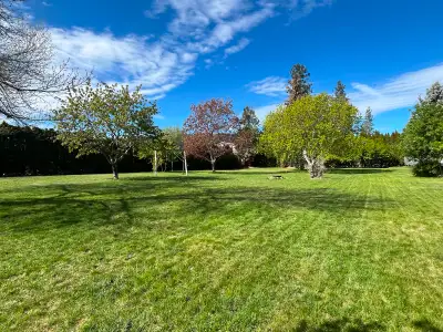 Okanagan Experience!, View more