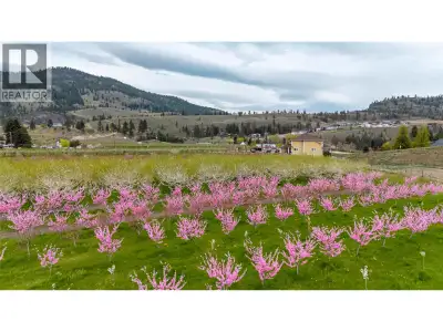 Amazing 8.2 acre property with Great family home & soft fruit Orchard. Spacious main level entry, 2...