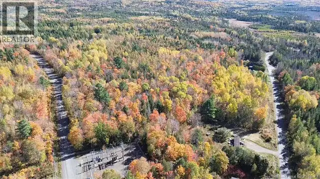 33 Dorrington Hill Road Canterbury, New Brunswick in Land for Sale in Fredericton - Image 5