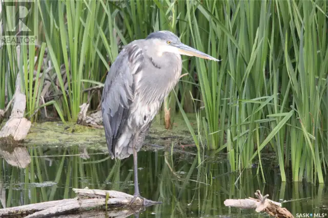 6 Bronco DRIVE Big River Rm No. 555, Saskatchewan in Houses for Sale in Meadow Lake - Image 40