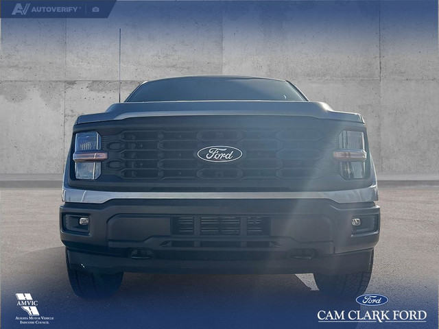 2025 Ford F-150 STX in Cars & Trucks in Red Deer - Image 2