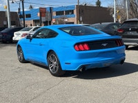 Double L Motors Ltd. 2017 Ford Mustang EcoBoost Power Meets Style! Experience the thrill of the open... (image 3)