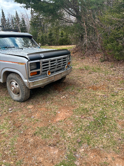 1983 ford