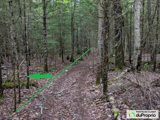 $335,000 - Residential Lot in Ste-Marguerite-Du-Lac-Masson — photo 3
