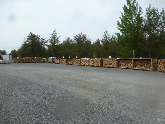 Firewood ( Out of DRY WOOD till spring ) in Other in Sudbury - Image 2